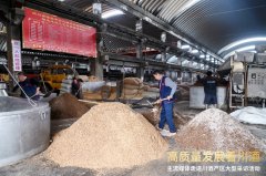 呈现奇特的“1+5+N”结