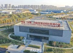 果断的步履派和实干家