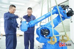 占国内市场份额5上